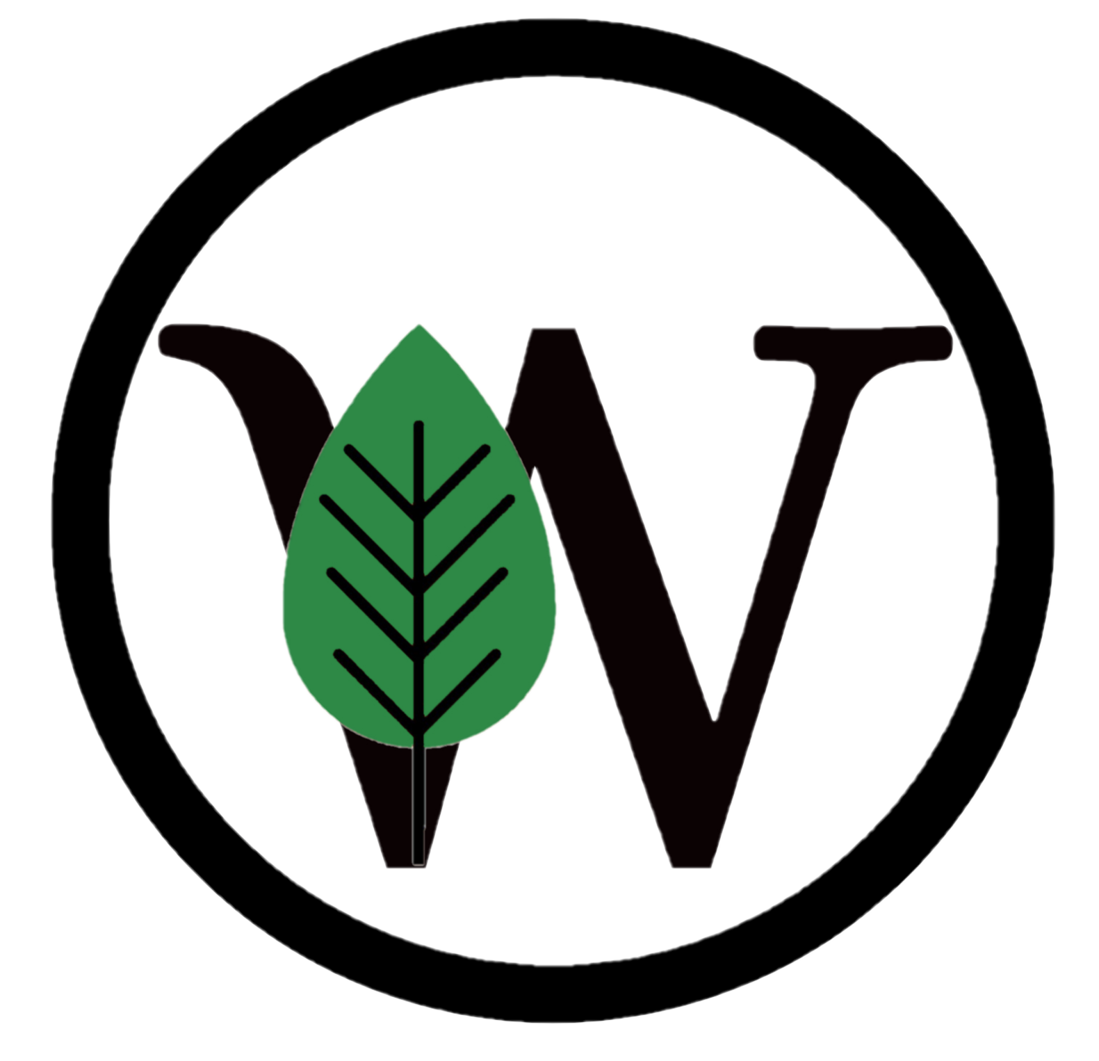 DIFUZÉRY DO AUTA  WoodVent